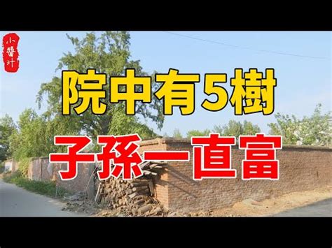 後院種樹風水|在農村建房，後院種樹的風水講究真的有道理嗎？